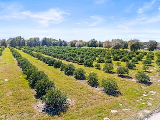 35538 Fairview Heights Rd, Zephyrhills, FL 33541