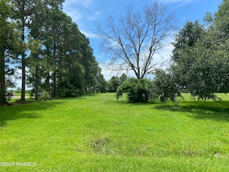 9304 Walter Boutte St, Jeanerette, LA 70544