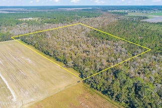 0 Tampa Rd Unit 2060078, Elkton, FL 32033