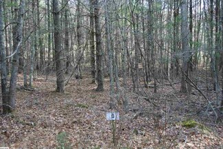 Lot 6 Low Hills Jackson River Rd, Monterey, VA