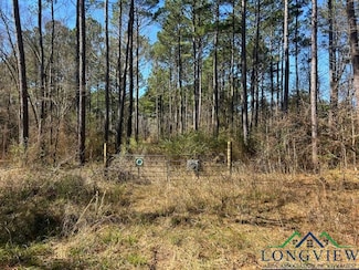 42.24 ac TBD County Road 1456, Linden, TX 75563