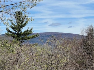 0 Lois Ln Unit 5045700, Arlington, VT 05250