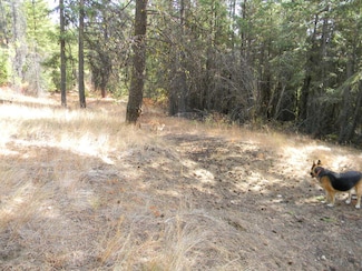 1080 Middle Basin Rd, Colville, WA 99114