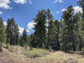 10 Elk Meadows Dr, Duck Creek, UT 84762