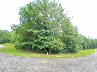 969 Blue Ridge Way Unit 45, Odenville, AL 35120