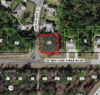 6797 W Oak Park Blvd, Homosassa Springs, FL 34446