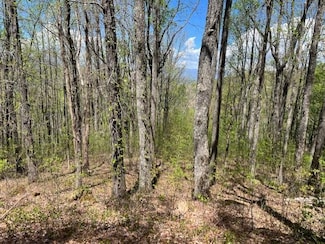 Lot 86 Rocky Knob Estates, Young Harris, GA 30582