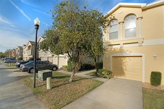 9111 Moonlit Meadows Loop, Riverview, FL 33578