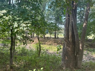 0 County Road 736, Jefferson Township, MO 65014