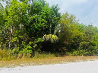 2993 Creech Ave SE, Palm Bay, FL 32909