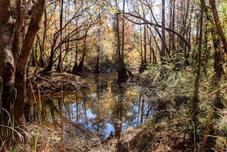 0 Twin Forks Rd Unit 25650888, Statesboro, GA 30458