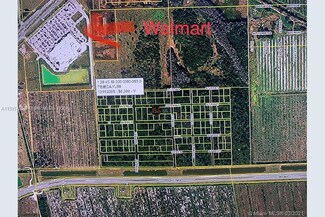E Ave Helms Rd, La Belle, FL 33935