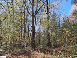 198 Black Snake Rd, Easley, SC 29640