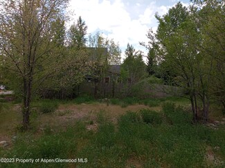 0339 Sopris Cir, Basalt, CO 81621