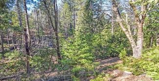 24184 Awahanee Rd, Sonora, CA 95370