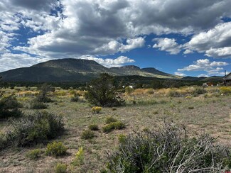 18 Chapel Hill Ct, South Fork, CO 81154