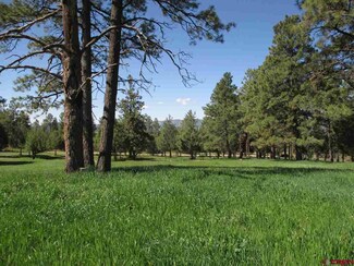 0 Road M 5 Unit 742517, Mancos, CO 81328