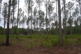 00 Old Columbus Rd, Tuskegee, AL 36083