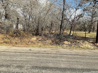 TBD Wild Root, Highland Oaks, TX 78264