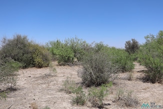0 Camino Once Rd SW Unit 20253649, Deming, NM 88030