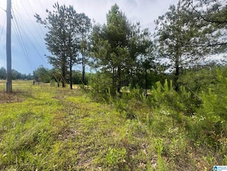 0 County Road 349, Maplesville, AL 36750