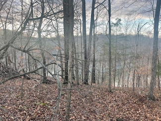 82 Pleasant View Dr, Nancy, KY 42544