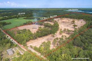 19451 County Road 4307, Larue, TX 75770