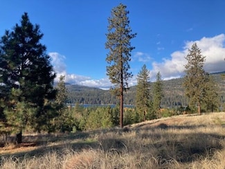 1351 Lake Roosevelt Way, Kettle Falls, WA 99141