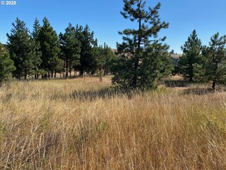 0 Hartland Dr Unit 2, Lyle, WA 98635