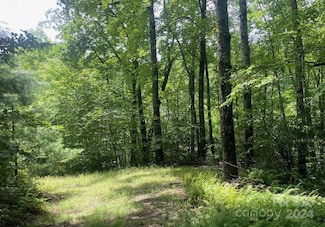 Lot 114 Pickens Hwy, Rosman, NC 28772