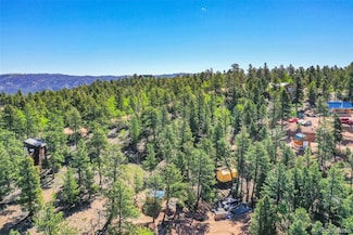 142 Osoeola Rd, Woodland Park, CO 80863