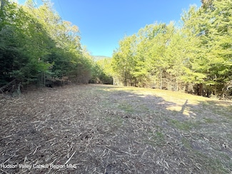 15 Corfu Rd, Hunter, NY 12427