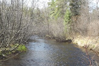 LOT 1 Rocky Run Rd, Harshaw, WI 54529