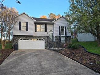 1189 Crest Ridge Dr, Bedford, VA 24523