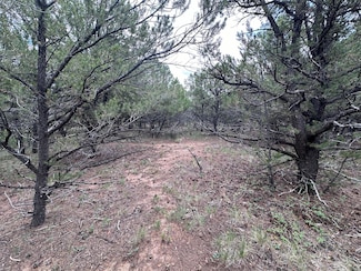 0 Canyon Dr Unit 16 43217, Ridgway, CO 81432