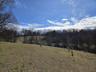 0 Ella Cir W Unit RTC2866869, Lynnville, TN 38472
