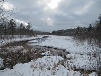 10925 Bruun Trail Unit 12.50 acres, Frederic, MI 49733