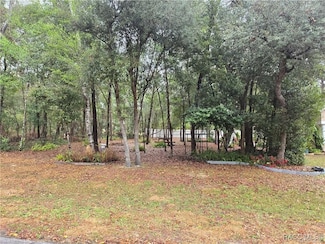 1415 W Saint Elizabeth Place, Citrus Springs, FL 34434
