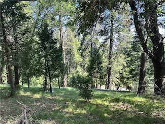 0 Bone Dr, Crestline, CA 92325