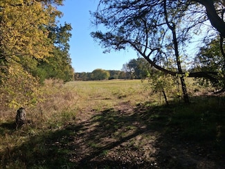 1071 Cr 2205, Ivanhoe, TX 75447