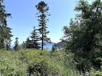 0 Davis Beach Rd Unit NWM2393172, Decatur Island, WA 98221