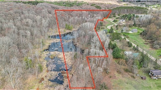V L 9 7a Vail Dr, Cadillac, MI 49601