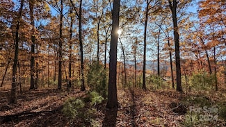 512 Wild River Run Unit 65, Marshall, NC 28753