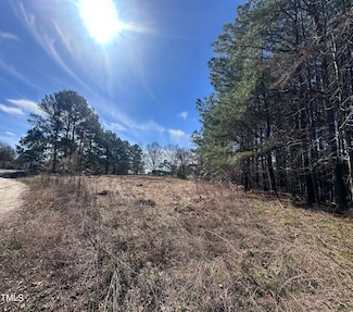 2700 Stevie Dr, Wendell, NC 27591