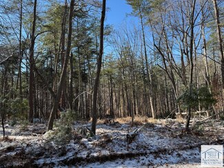 lot 2 Blue Bend Rd, Rocky Mount, VA 24151