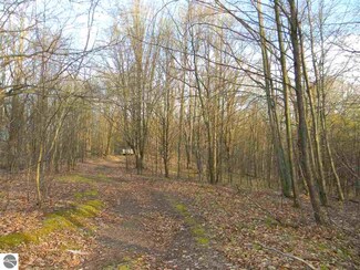 N/A Maltby Dr, Lupton, MI 48635