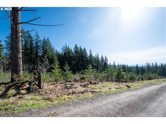 0 NE 94th St Unit 379189725, Camas, WA 98607