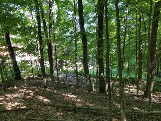 0 Loring Hill Rd, Buckfield, ME 04220