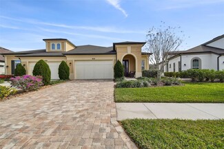 4513 Barletta Ct, Wesley Chapel, FL 33543