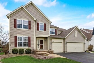 46 Leadville Ct, Gilberts, IL 60136